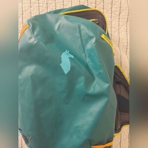 Cotopaxi Allpa 35L Travel Backpack in Evergreen